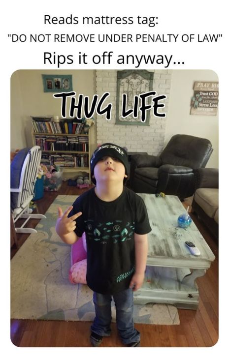 64981287_2258529124232557_3705322540286083072_o