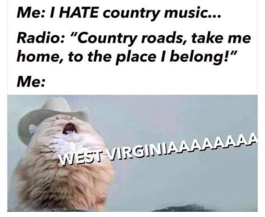 69307926_2375547372530731_4658943122678480896_n